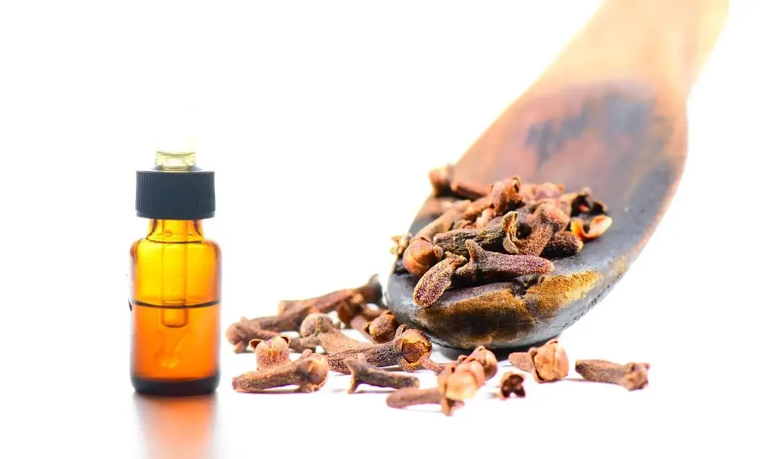 Tired of battling hair loss? Seeking to promote solid and luxurious locks? Consider introducing clove water for hair growth care in routine use.
