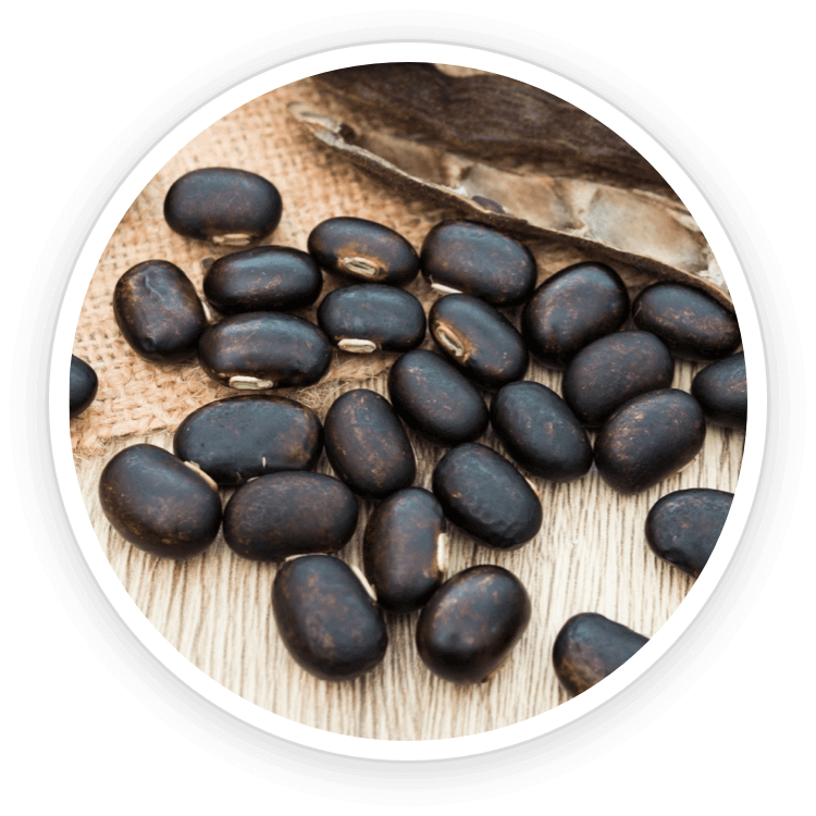 Quietum Plus Ingredients : Mucuna Pruriens & Maca Root