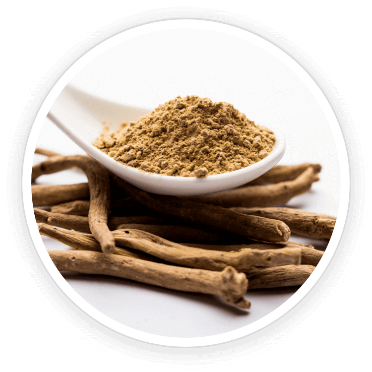 Quietum Plus Ingredients : Ashwagandha and Piperine