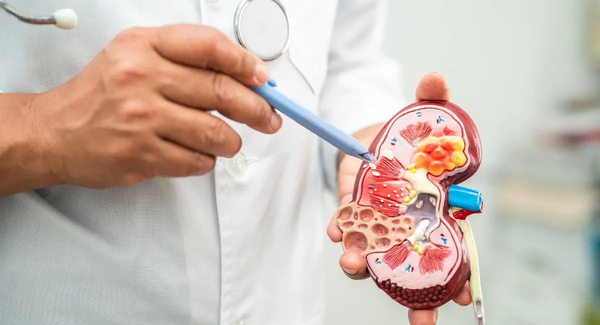 Does a kidney infection cause bloating