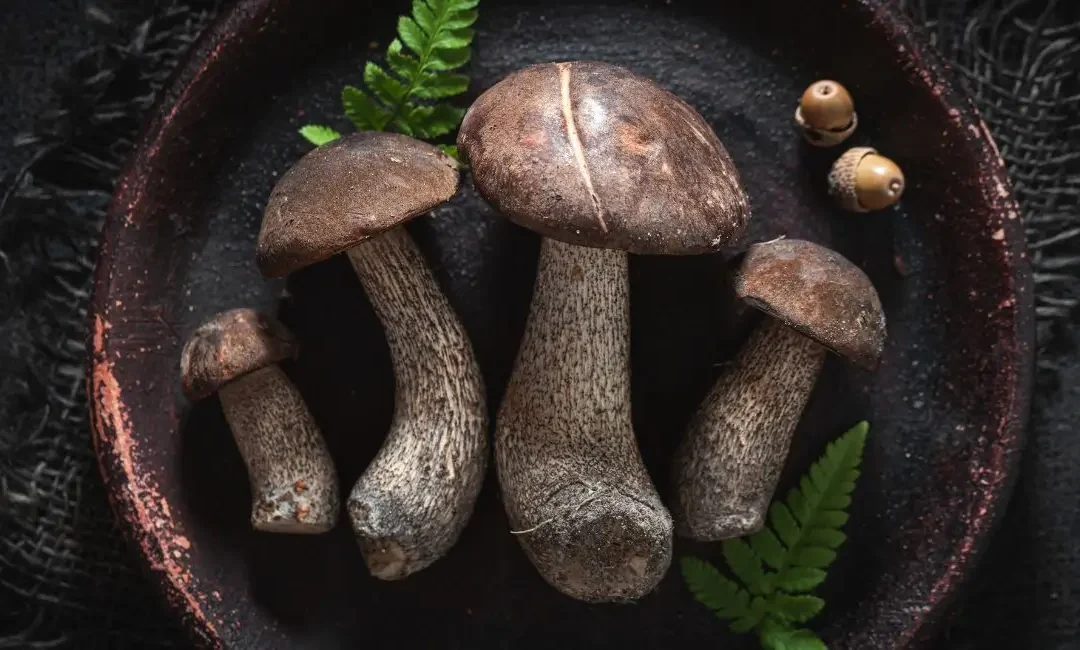 10 Negative Side Effects Of Portobello Mushrooms – The Double Edged Delicacy