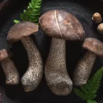 Negative Side Effects Of Portobello Mushrooms