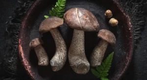 Negative Side Effects Of Portobello Mushrooms