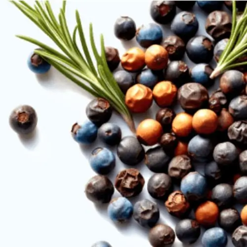 Juniper Berries