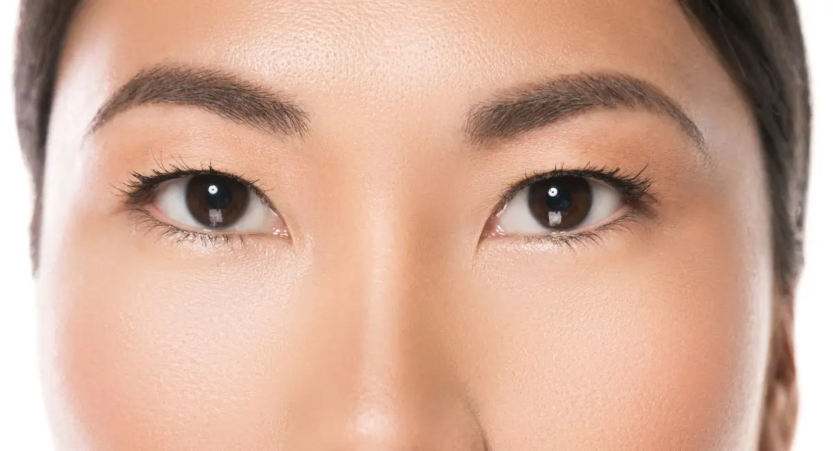 How Long To Eyebrows Take To Grow Back? : Truth Unrevealed