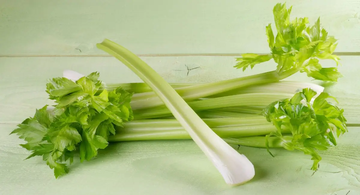 Celery's Health Benefits For Men