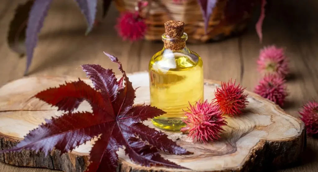 Benefits Of Castor Oil For Face