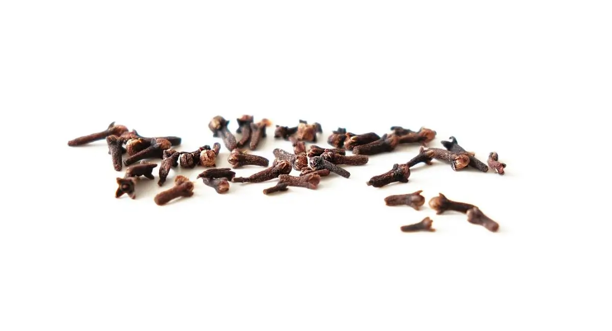 sexual benefits of cloves