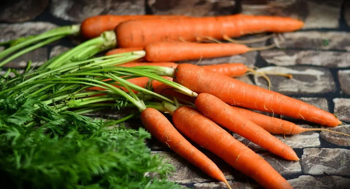 side-effects-of-carrot-oil-on-skin