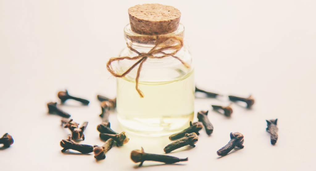 How To Use Clove Oil For Toothache_ Step-By-Step Guide